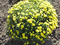 IMG_2044.JPG