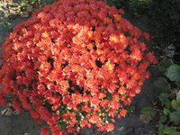 IMG_2046.JPG