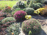 IMG_2072.JPG
