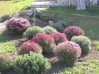 IMG_2089.JPG
