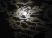 20150926_212105_LLS.jpg