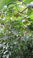 20150730_155538.jpg