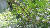 20150730_155545.jpg