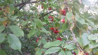 20151001_154306.jpg