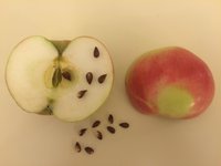 IMG_2843.jpeg