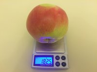 IMG_2849.jpeg