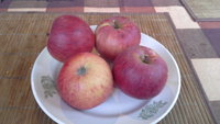 20151002_152907.jpg