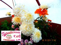 DSCN2079.JPG
