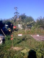 Скала 24.08.15.jpg