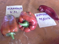20150927_123336.jpg