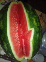 IMG_20150801_164336.jpg