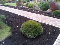 20151028_140709.jpg