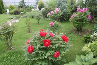 IMG_6202 - копия.JPG