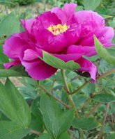 DSC02709.JPG