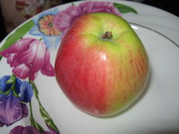 IMG_2635.JPG