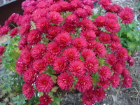DSCN1826.JPG