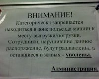 6rkavDFhk1Q.jpg