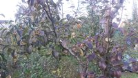 20151005_154409.jpg