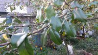 20151006_133828.jpg