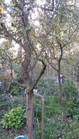 20151006_133848.jpg