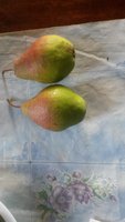 20151005_154752.jpg