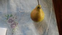 20151005_154807.jpg