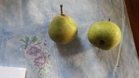 20151005_154828.jpg