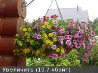калибры.jpg