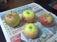 Фаерсайд0747.jpg