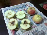 Фаерсайд0749сж.jpg