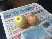 Харалсон0745сж.jpg