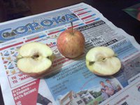Харалсон0746сж.jpg