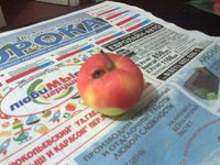 Кип сейк0742сж.jpg