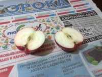 Мекинтош0735сж.jpg