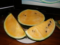 summer orange.JPG