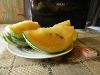 yellow4.jpg