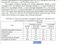 Новый рисунок (1).jpg