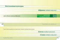 Подвой.jpg