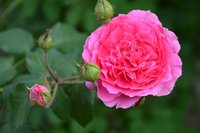 image (9).jpg