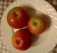 WP_20151212_16_31_53_Pro.jpg