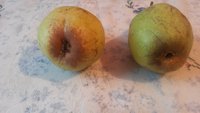 20151220_115518.jpg