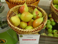Кокинская.JPG