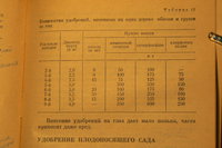P1240662.JPG