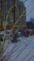 2012-12-30-268.jpg