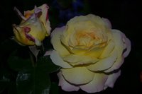 DSC_0054.JPG
