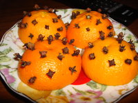 DSC05518.jpg