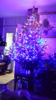 IMG-20151227-WA0004.jpg