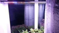 20160107_004212.jpg
