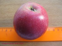 Кижеватовское 06.01.2016г.