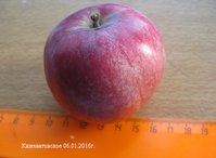 Кижеватовское 06.01.2016г.